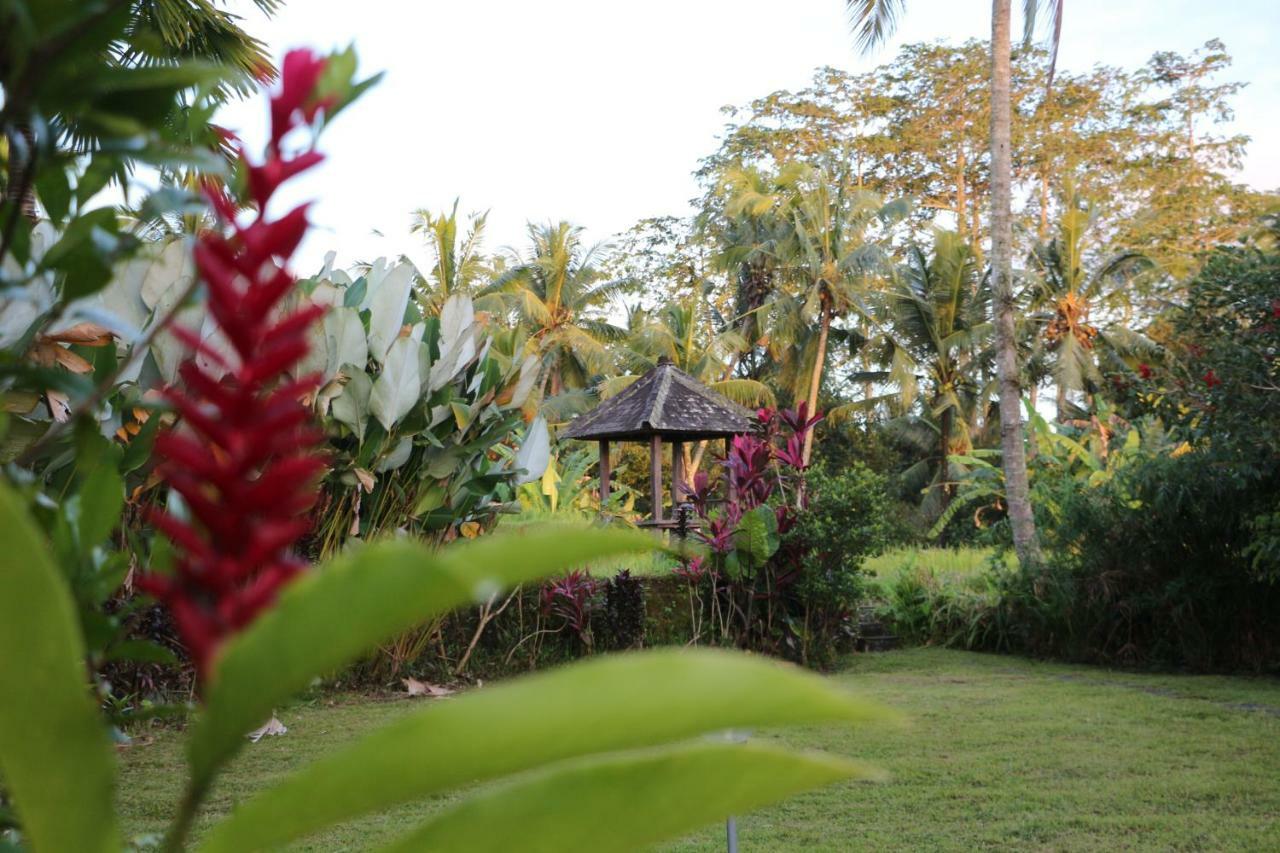 The Alise Villa Tegallalang  Exterior photo